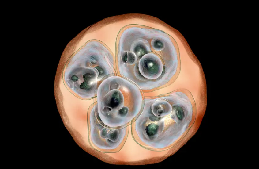 اكتشاف هام قد يمهّد لعلاج جديد للسمنة